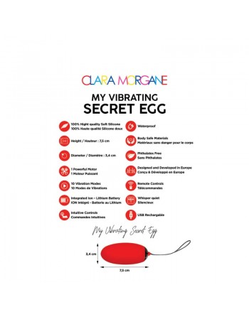 My vibrating secret egg - Rouge
