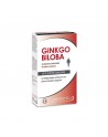 Ginkgo Biloba Homme - 60 gélules